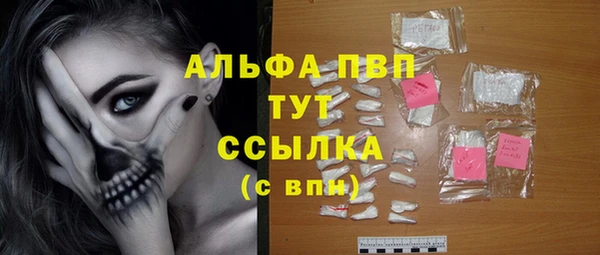 ешки Бородино