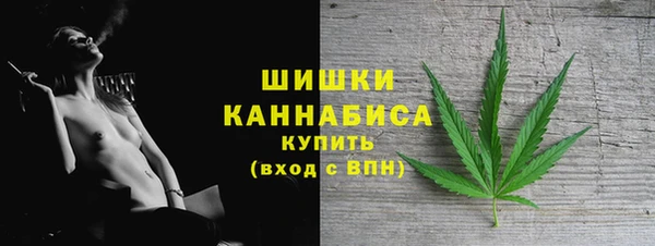 дживик Бронницы