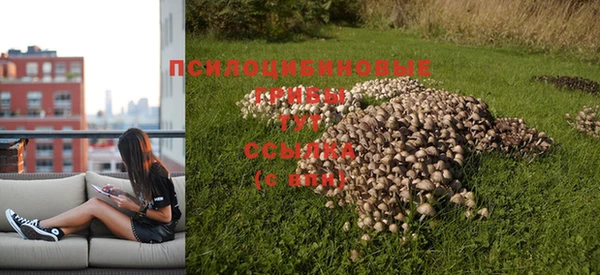 бутират Пролетарск
