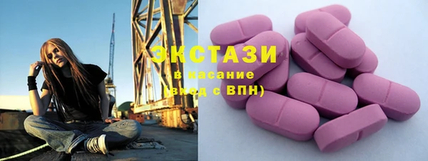 ешки Бородино