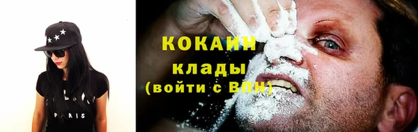 ешки Бородино