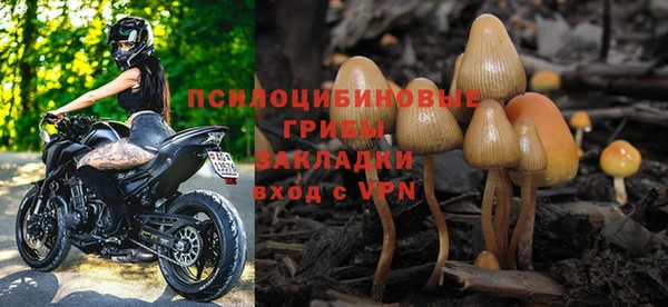 сатива Верея